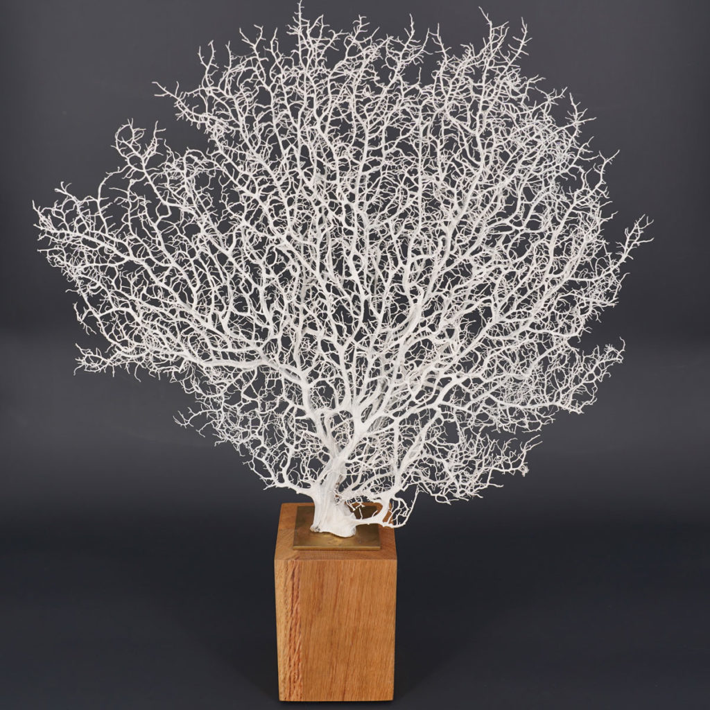 Jahr: 2018
Material: echte Fächerkoralle
Größe: variiert
Gewicht: ca. 2 kg | 4,4 lbs.
Edition: Einzelstücke
A genuine coral with its very fine and delicate branching, elaborately painted white and placed on an individually created base to achieve a harmonious image in homage to the natural elements
 